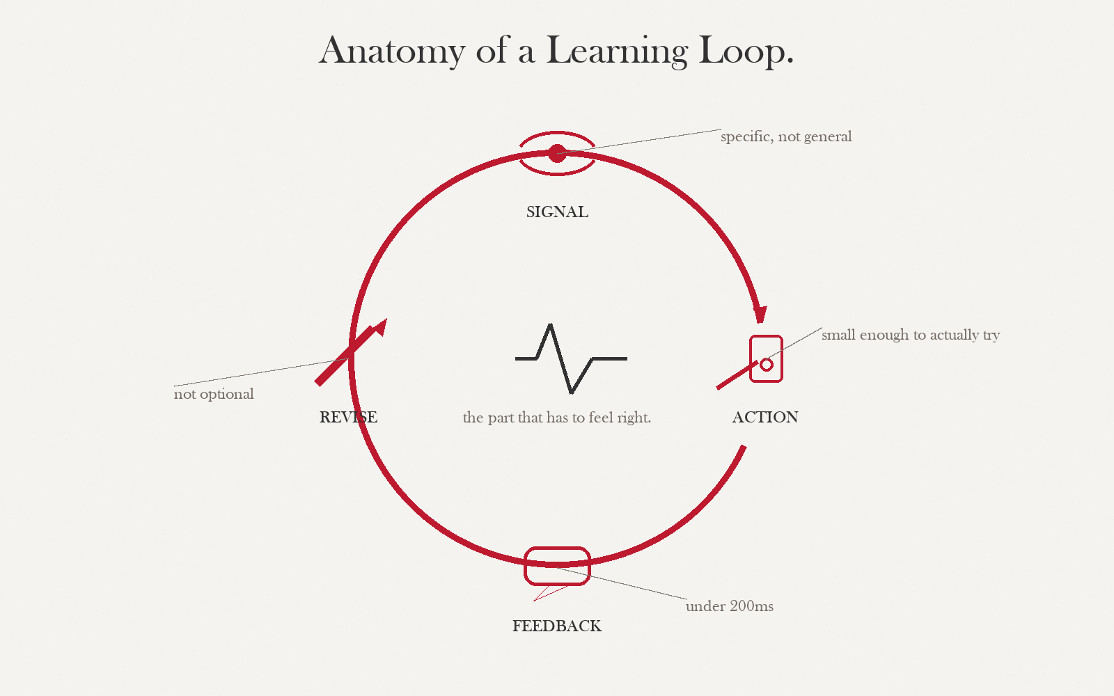 Anatomical-style diagram of a learning loop with four nodes — Signal, Action, Feedback, Revise — connected clockwise with annotations.